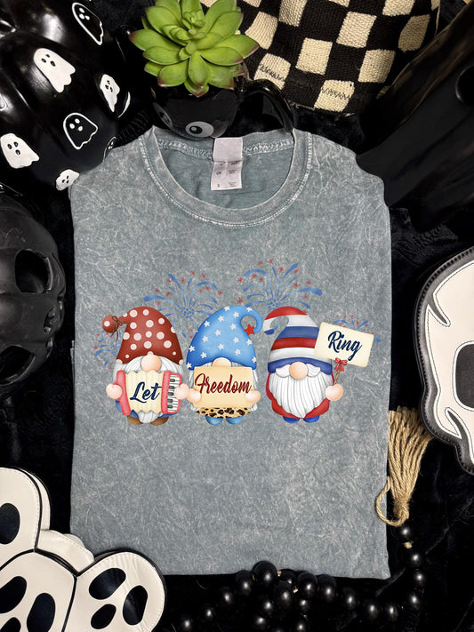 Let Freedom Ring, Gnome, Independence, DTF Transfer