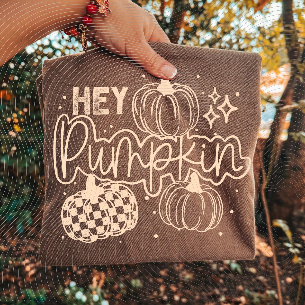 Hey, Pumpkin, Fall, DTF Transfer