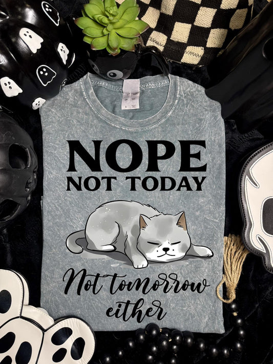 Nope, Not Today, DTF Transfer