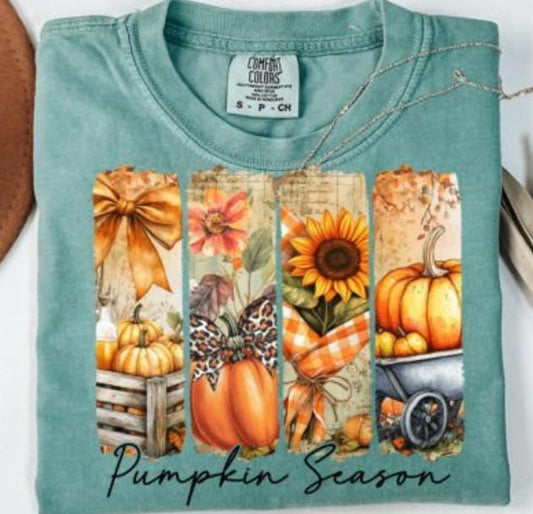 Pumpkin, Season, Fall, Autumn,  DTF Transfer