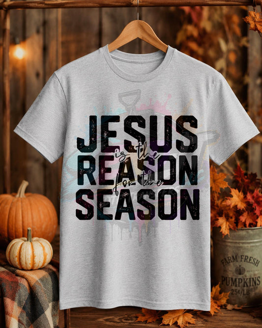 Jesus Is The Reason, Religious, DTF Transfer