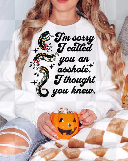 I'm Sorry, Snarky, DTF Transfer